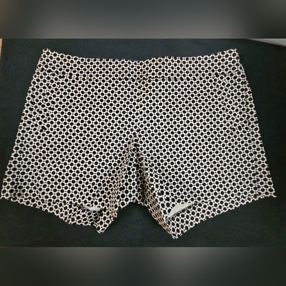 Jcrew Stylish Dress Shorts...LIKE NEW!